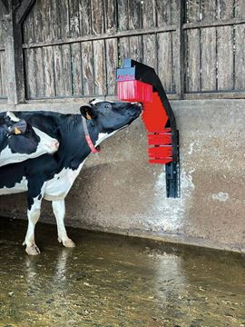 Image de Brosse ANIZEN en C murale