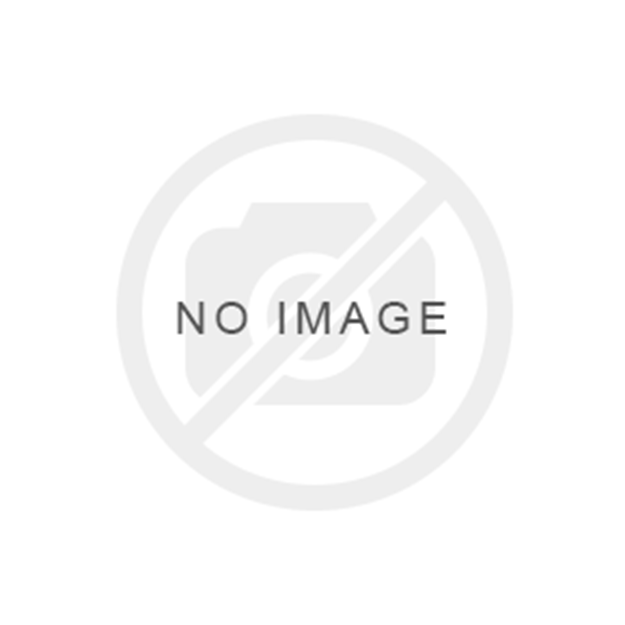 Image sur Abreuvoir mod.16 P